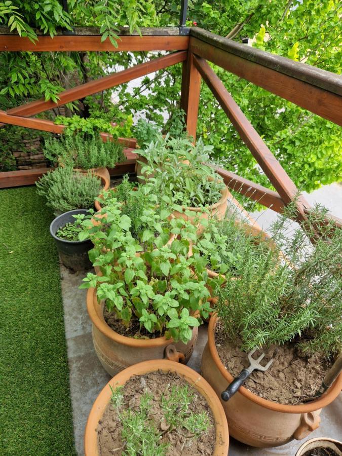 Balassi Apartment -With Green Terrace&Bike สตูโรโว ภายนอก รูปภาพ